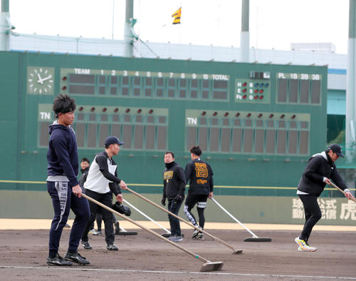 1月30日、鳴尾浜球場での最後の自主トレを終えグラウンド整備する阪神の選手ら