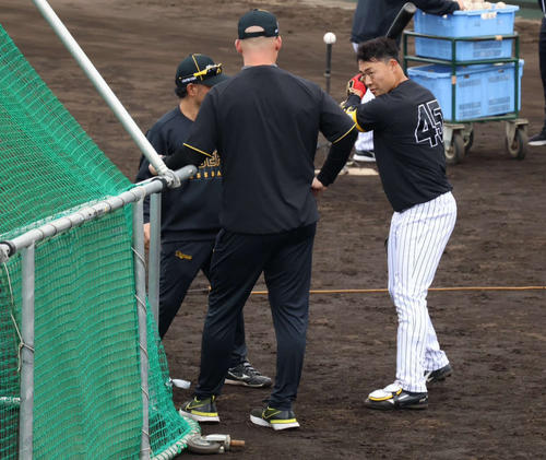 具志川キャンプでサンズ臨時コーチに指導を受ける阪神佐野（2025年2月6日撮影）