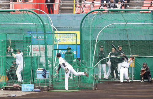 打撃練習を行う近藤、左のゲージは山川（撮影・梅根麻紀）