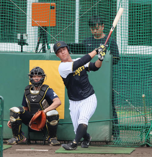 打撃練習する井坪（2025年2月18日撮影）