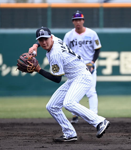 シートノックで送球する阪神山田脩也（2025年2月28日撮影）