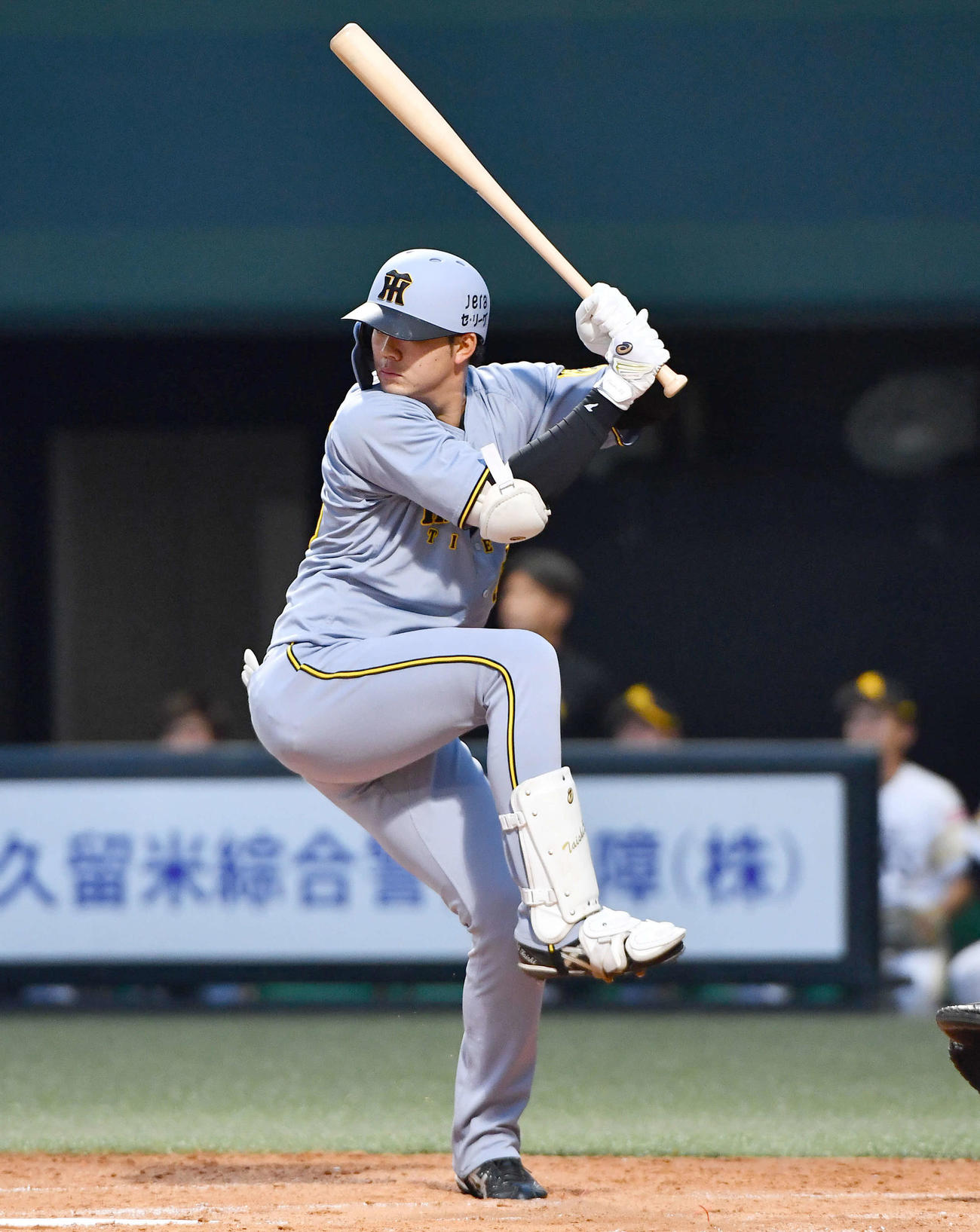 阪神楠本泰史（2025年6月6日撮影）