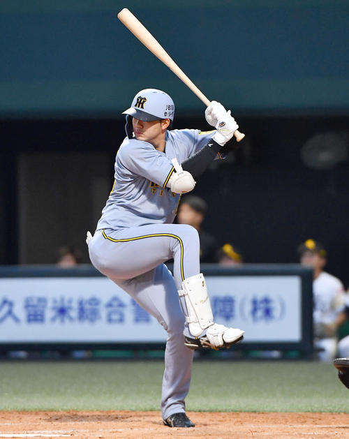 阪神楠本泰史（2025年6月6日撮影）