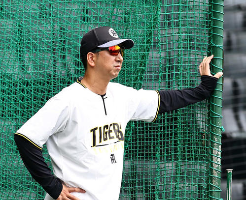 練習を見つめる藤川監督
