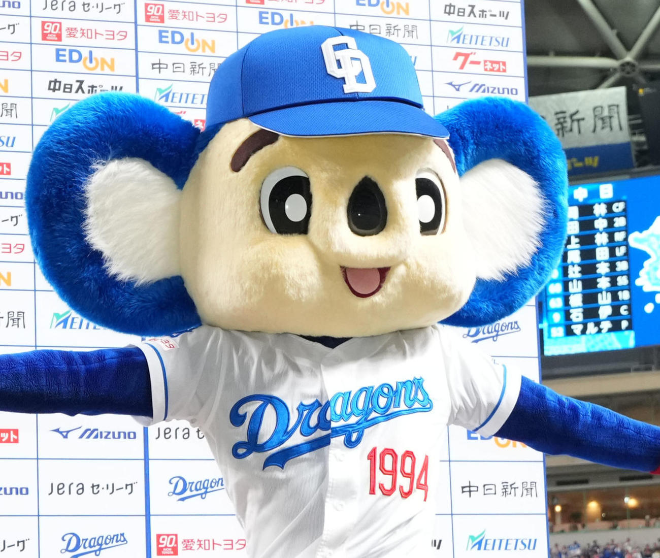 ドアラ（2025年撮影）
