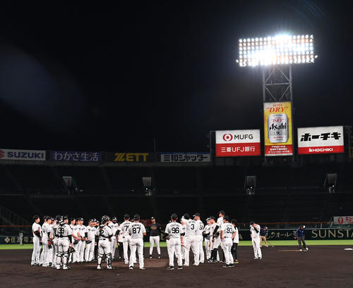 ナイター練習をする阪神ナイン(撮影・石井愛子)