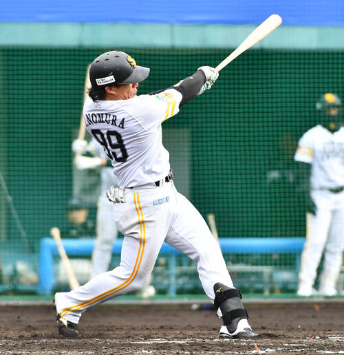 ライブBPで左越えに安打を放つソフトバンク野村（撮影・岩下翔太）