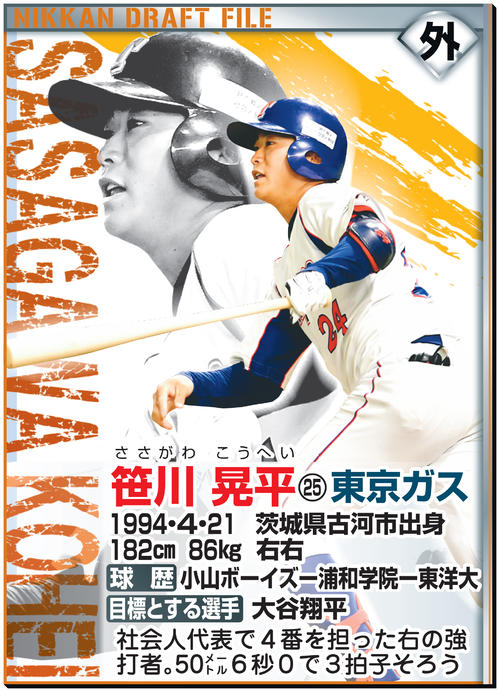 ドラフトファイル：笹川晃平
