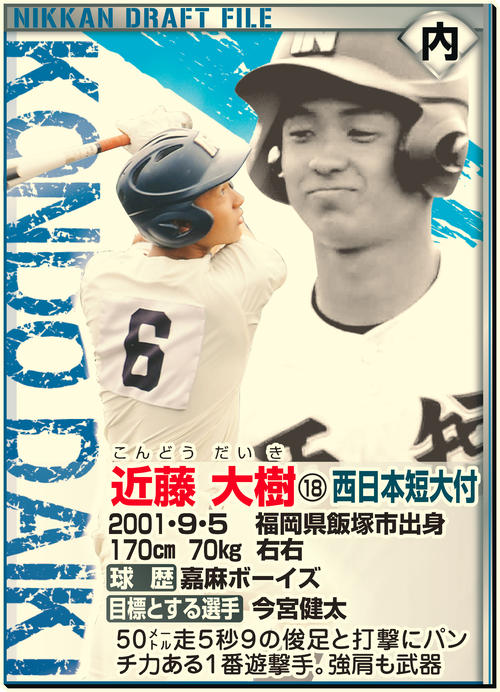 ドラフトファイル：近藤大樹