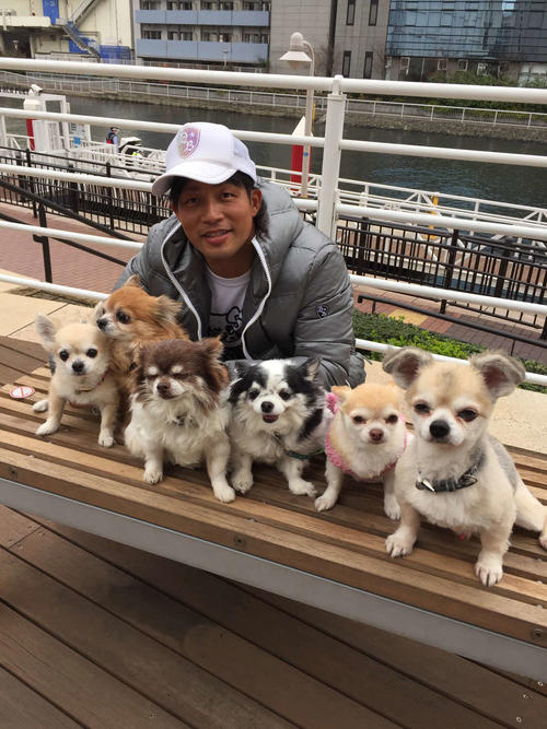 DeNA藤井打撃投手兼広報の愛犬たち