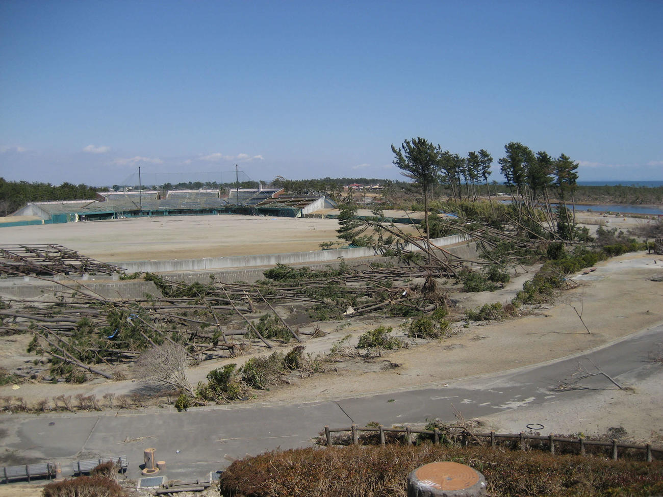 11年3月、津波の被害を受けた岩沼海浜緑地公園野球場（提供写真）