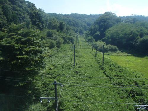 12年9月、JR常磐線富岡－竜田間の線路は雑草で埋め尽くされていた