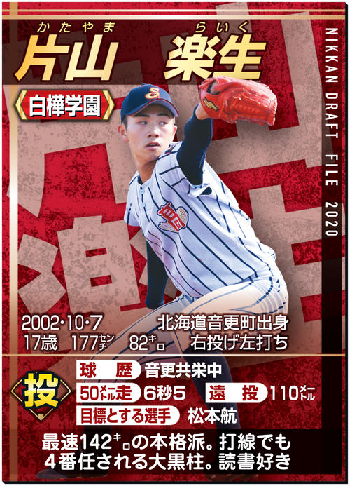 ドラフトファイル：片山楽生