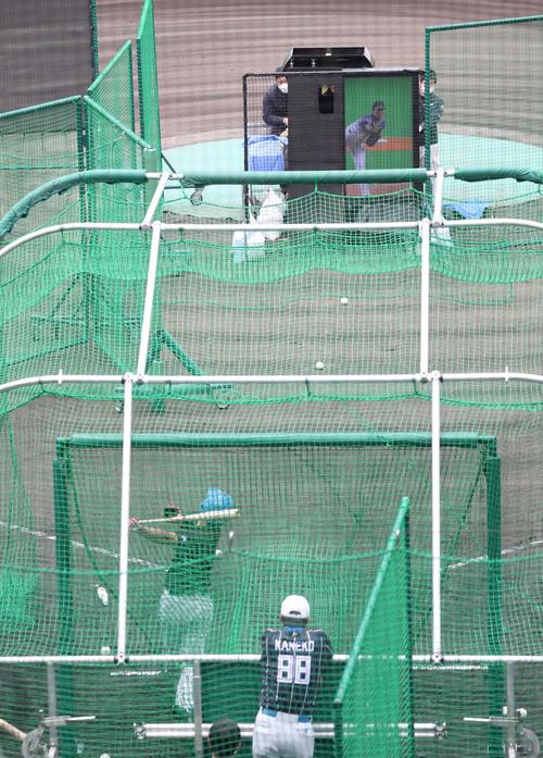 阪神藤浪の映像が流れる高速投球マシンで空振りする日本ハム野村(撮影・黒川智章)