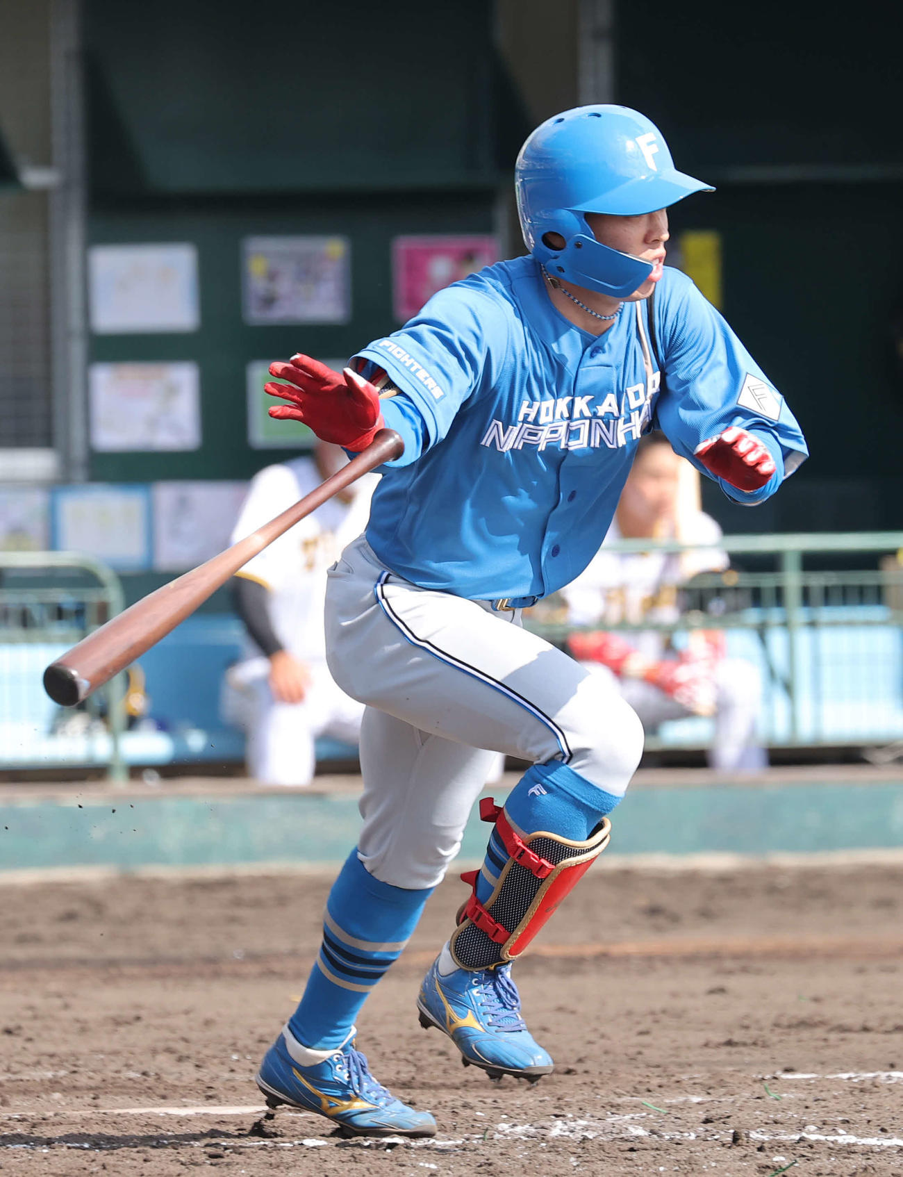 8日、阪神との練習試合で右前打を放つ日本ハム五十幡
