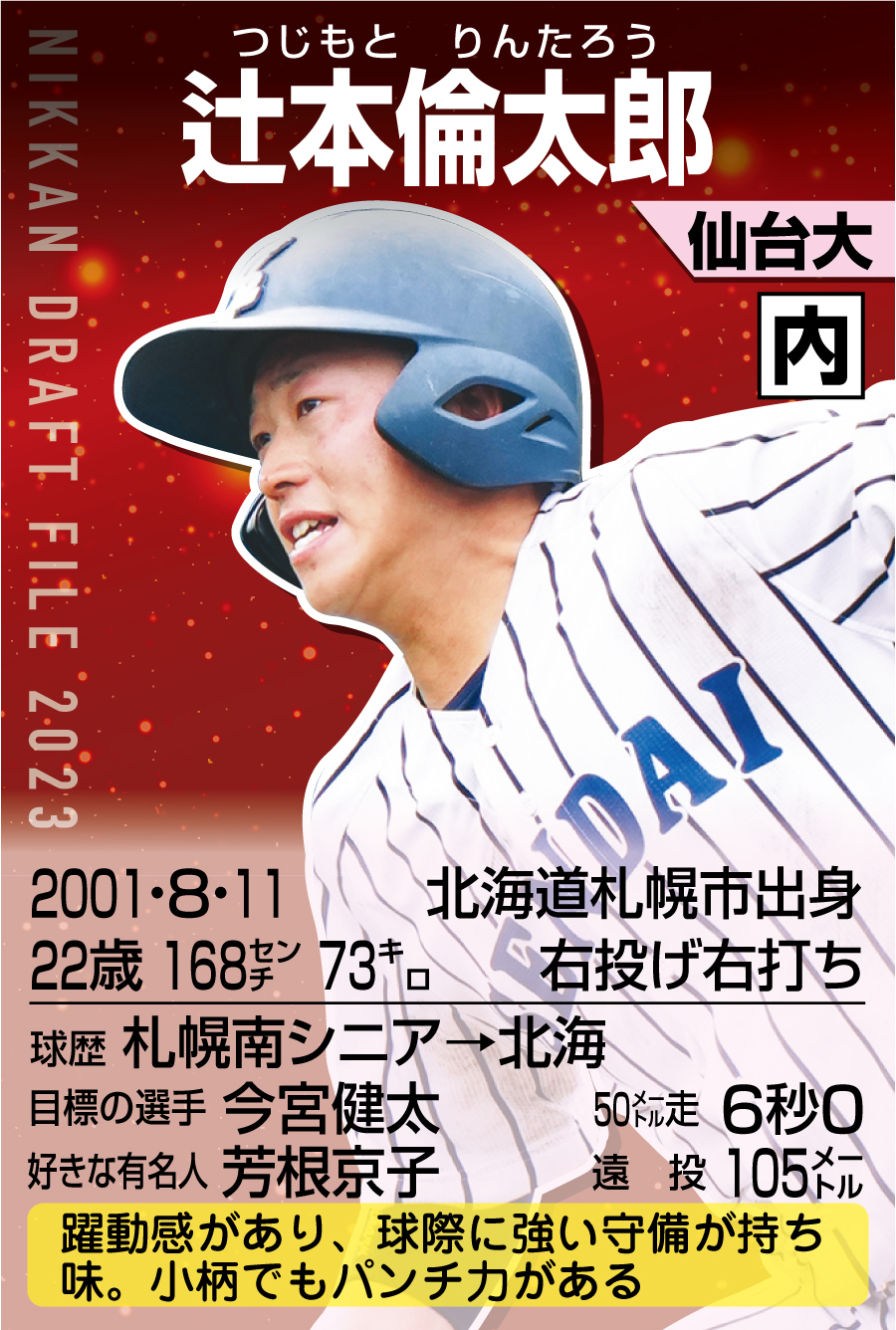 ドラフトファイル：辻本倫太郎