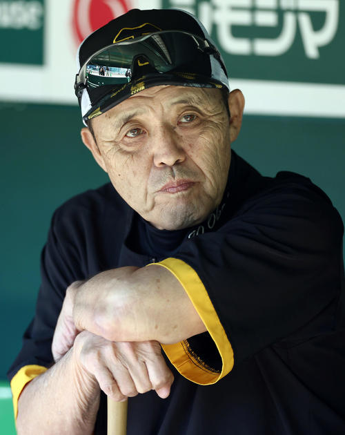 試合前練習を見守る阪神岡田監督（2024年10月13日撮影）