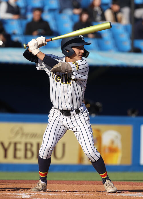 25年11月、英明戦で打席に立つ帝京長岡・鈴木