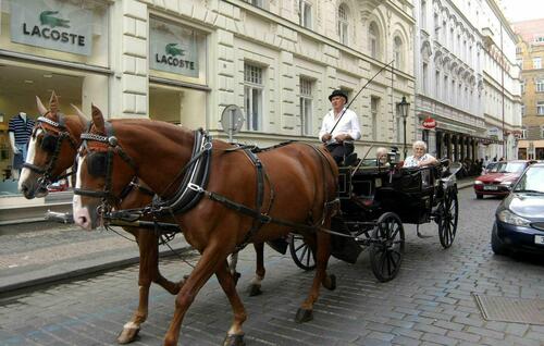 チェコ・プラハ市内を走る馬車（2004年6月撮影）