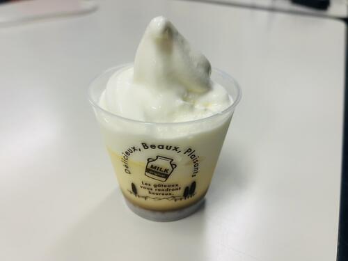 千葉プリンソフト