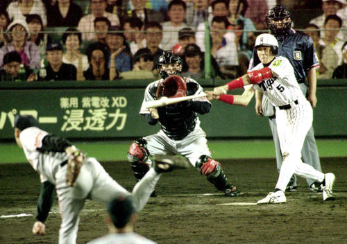 99年6月、巨人戦の12回、阪神新庄は槙原の敬遠の球をレフト前に放ちサヨナラとする