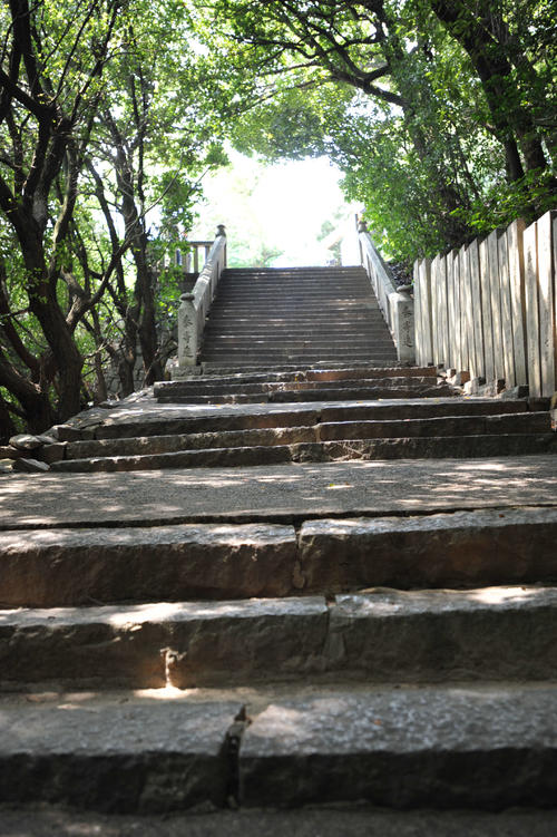 倉敷商時代・星野が足腰を鍛えた足高神社名物の階段