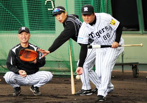 矢野燿大２軍監督（中央）とともに指導を行う安藤優也育成コーチ（右）（２０１７年１１月１１日撮影）