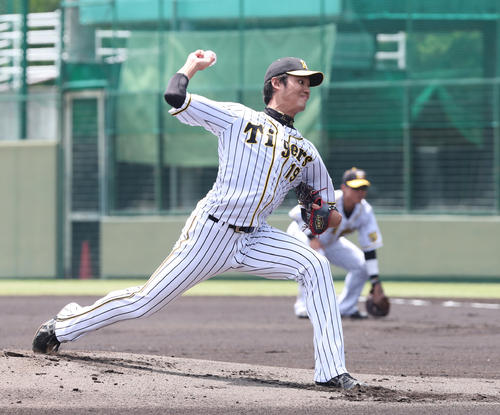 藤浪晋太郎（２０１８年５月１５日撮影）