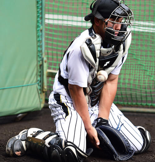 ワンバウンドした投球を体全体で止める練習を行う阪神梅野隆太郎