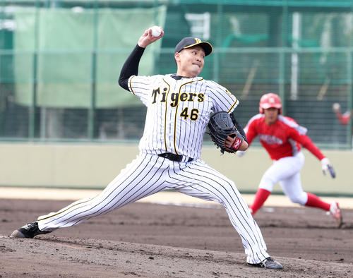 奈良学園大戦に先発した秋山拓巳（2019年3月6日撮影）