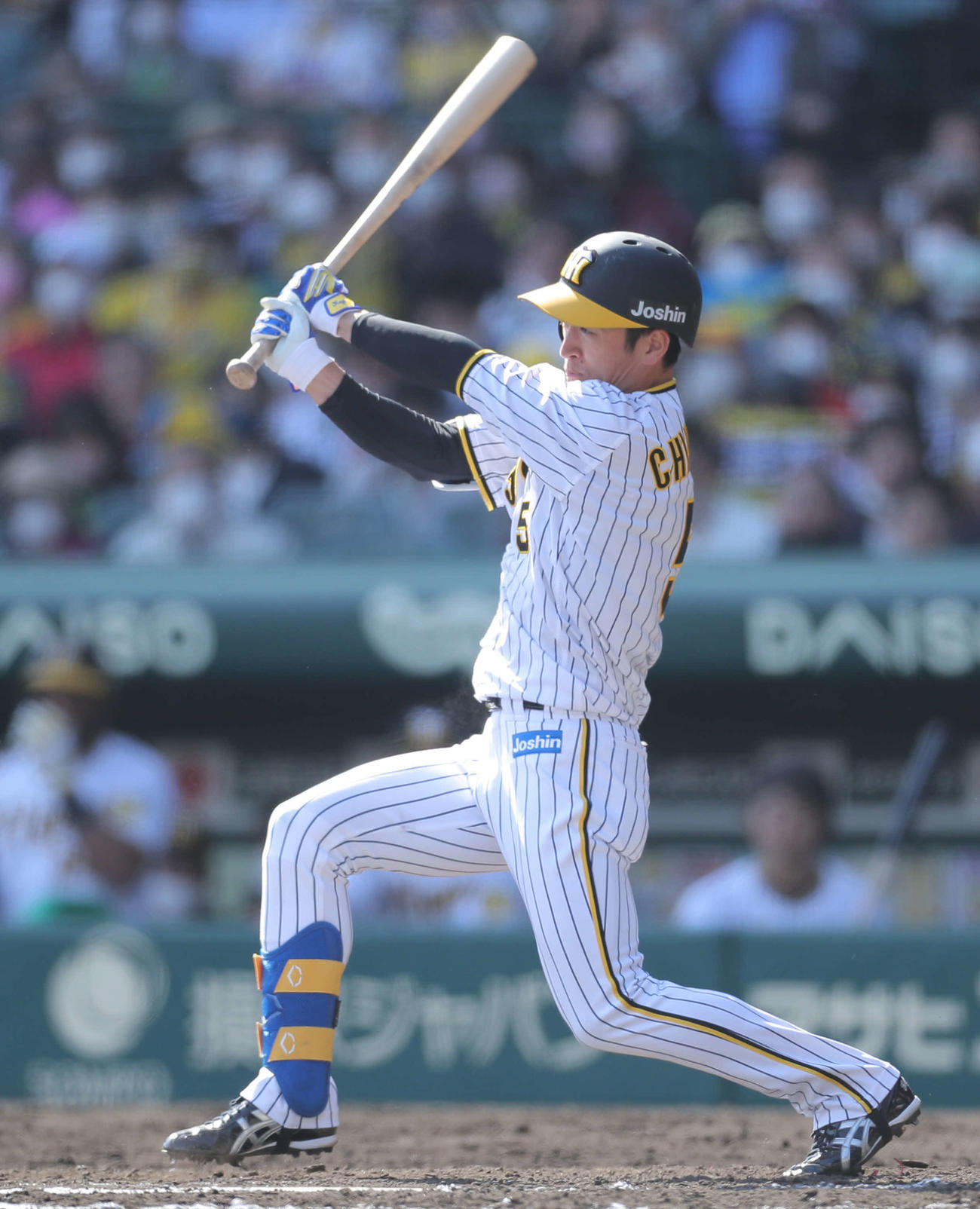 阪神近本光司（2022年4月16日撮影）