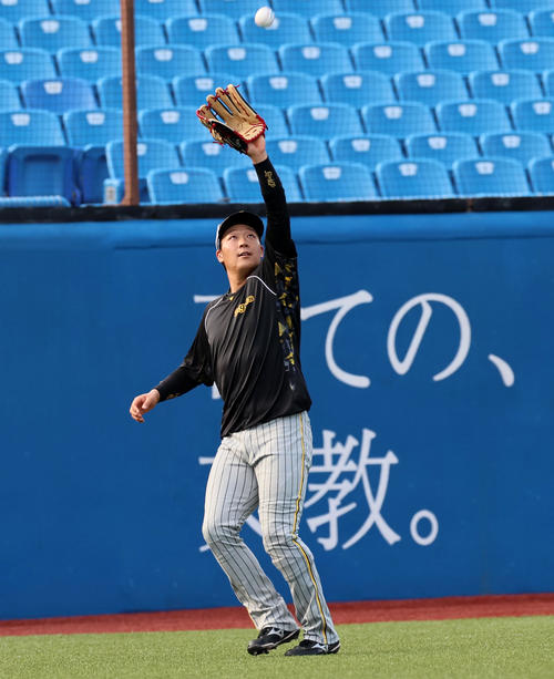 左翼で打撃練習のボールを捕球する阪神大山悠輔（2022年7月9日撮影）