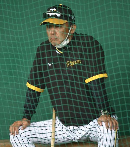 ブルペンで投球練習を見守る岡田監督（撮影・上田博志）