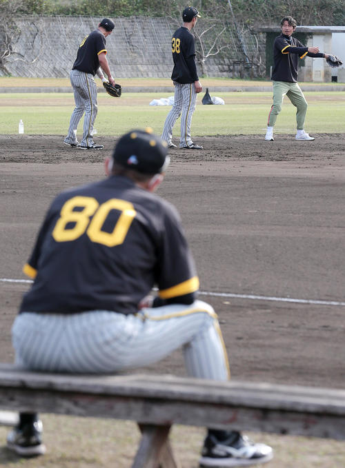 岡田監督（手前）が見守る中、指導する鳥谷臨時コーチ（右）（2023年2月4日）