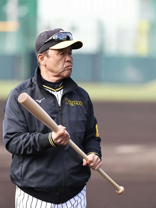 岡田監督