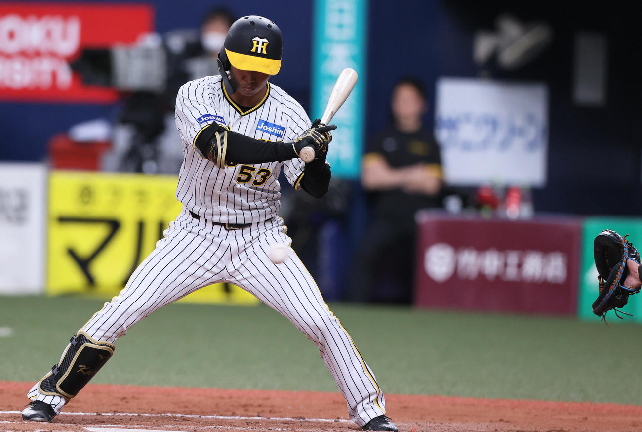 2023年4月2日、阪神対DeNA 8回裏阪神2死一塁、島田は見逃しで1ストライクとなる（撮影・上山淳一）