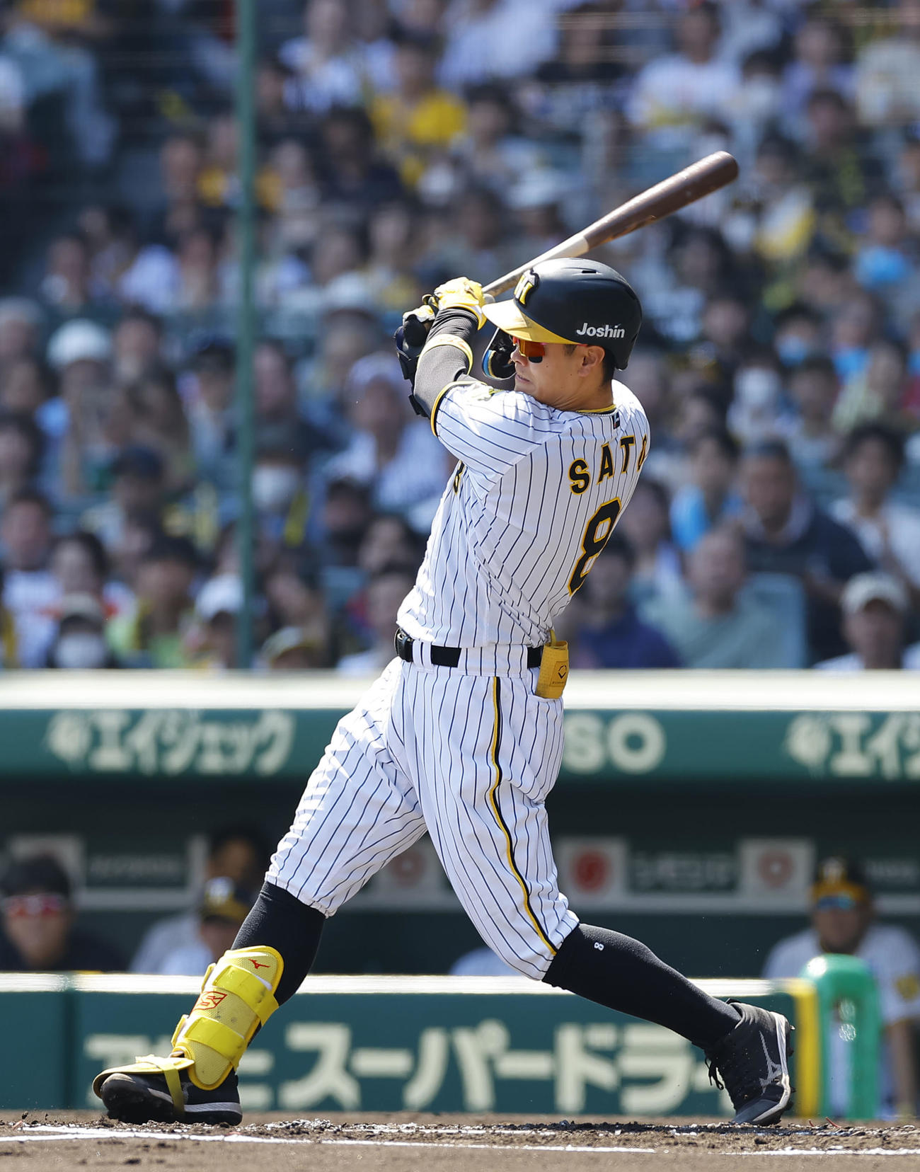 阪神佐藤輝明（2023年6月17日撮影）
