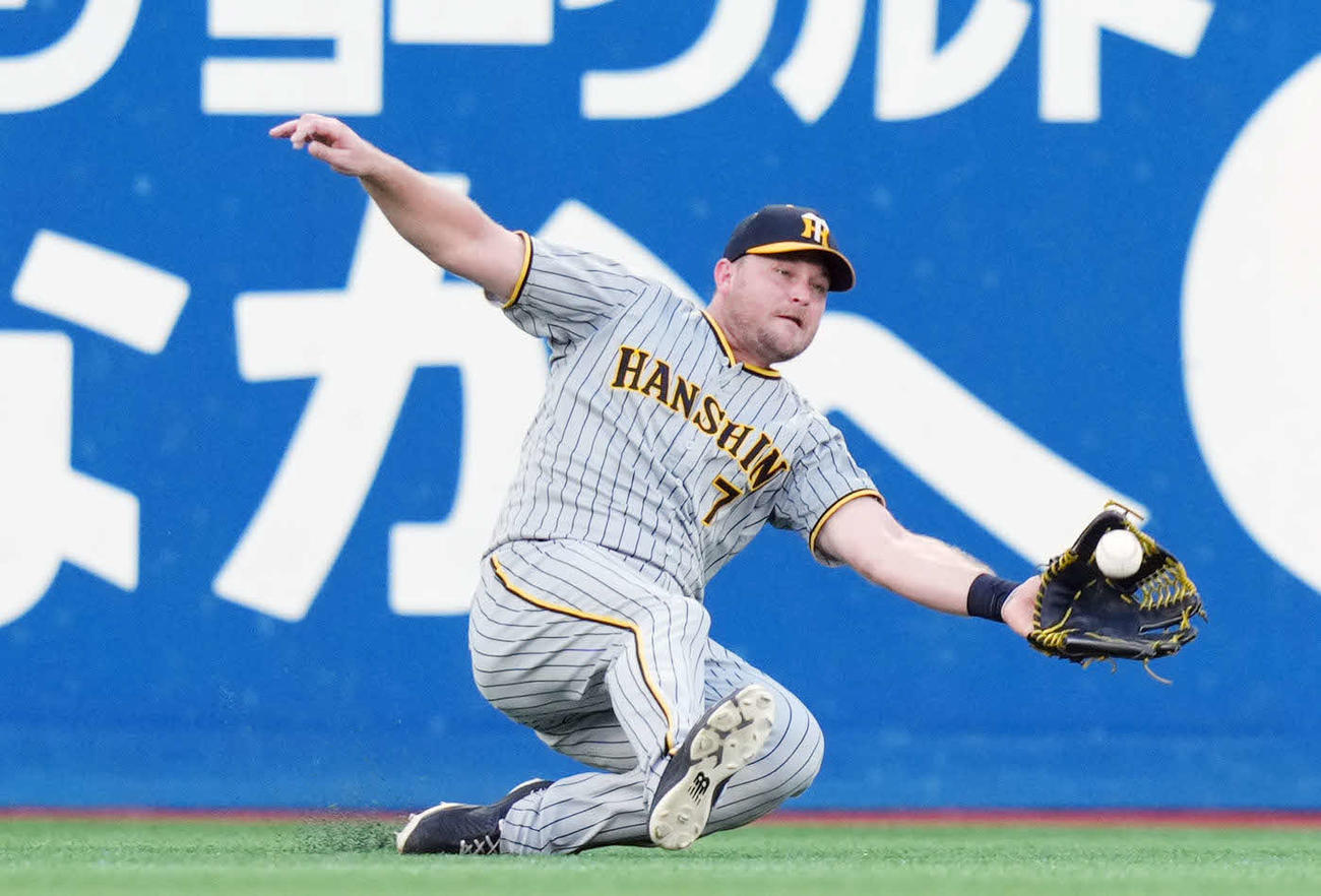 DeNA対阪神　4回裏DeNA1死、宮崎の左飛を好捕するノイジー（2023年8月6日撮影）