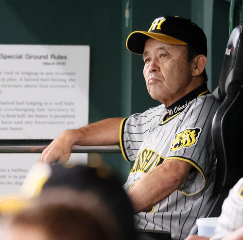 グラウンドを見つめる岡田監督（2023年8月27日撮影）