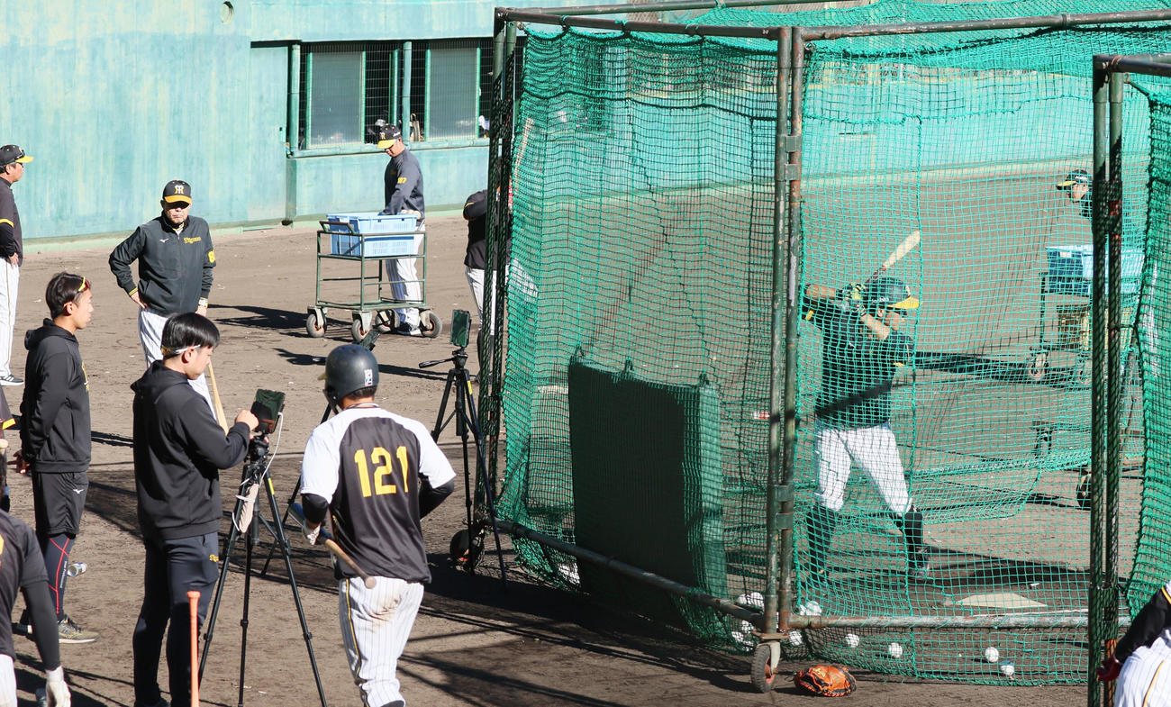 安芸キャンプで井坪の打撃練習を見る岡田監督（23年11月13日撮影）
