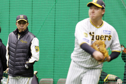 練習を見守る阪神岡田監督。右は大山（撮影・前田充）