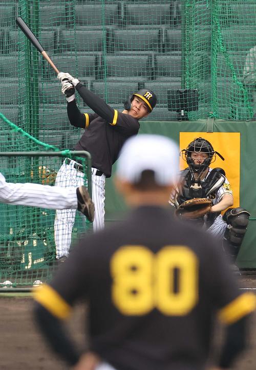 岡田監督のチェックを受けながら打撃練習をする佐藤輝明（2024年4月26日撮影）