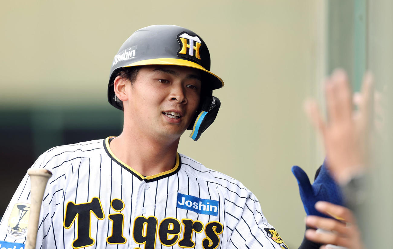 阪神井上広大（2024年4月23日撮影）