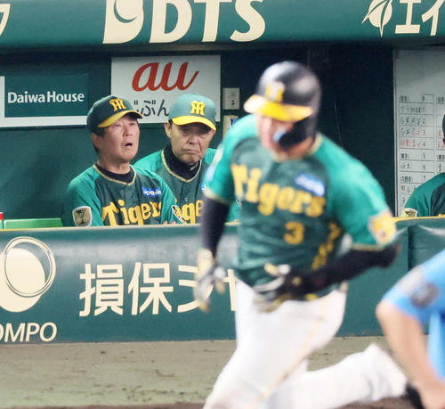 22日、大山の左越え2点本塁打をベンチから見守る岡田監督