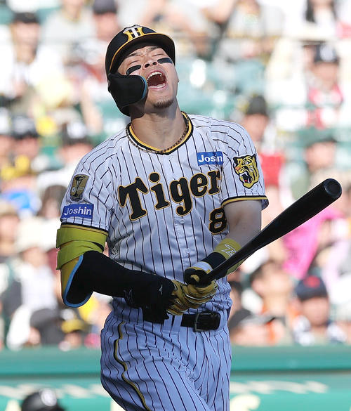 阪神佐藤輝明（2024年9月23日撮影）