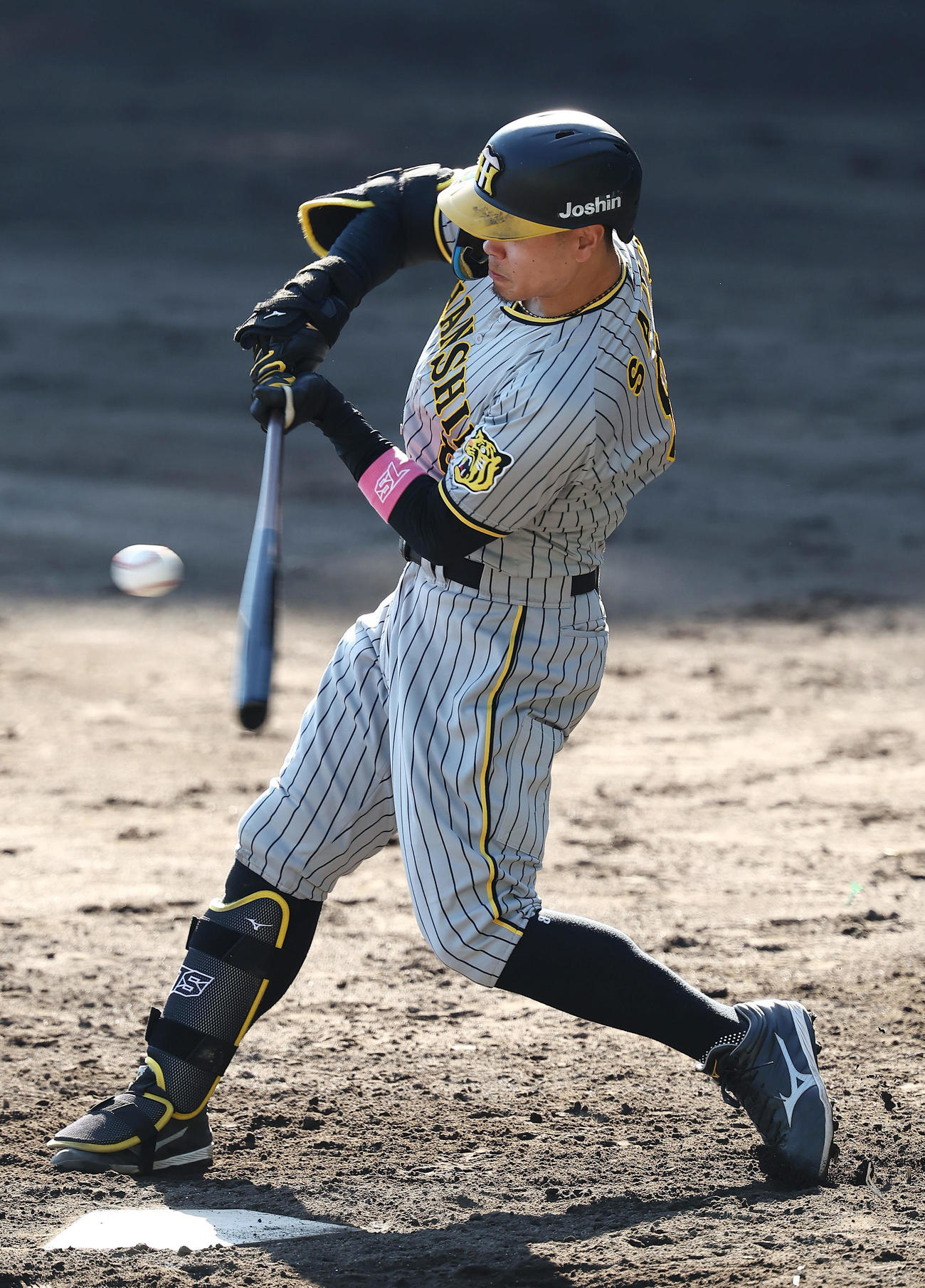 紅白戦で中前打を放つ阪神佐藤輝（2024年11月3日撮影）