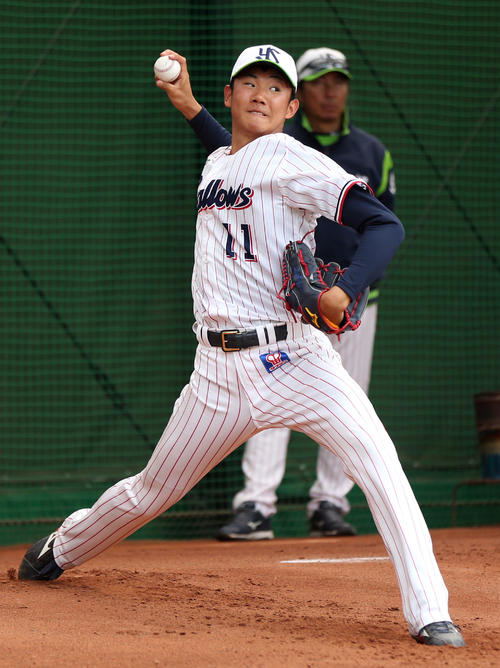 ヤクルト奥川恭伸（2020年3月27日撮影）