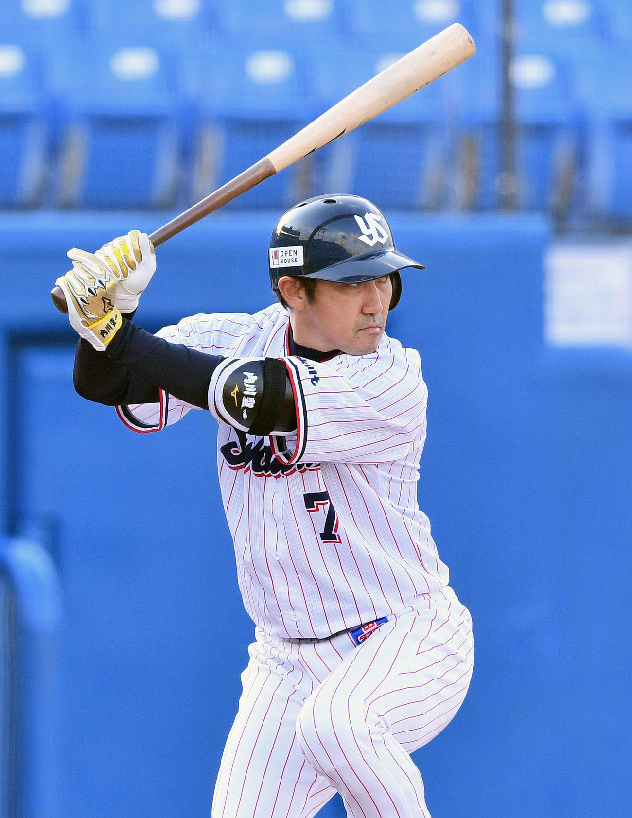 ヤクルト内川聖一（2021年11月16日撮影）