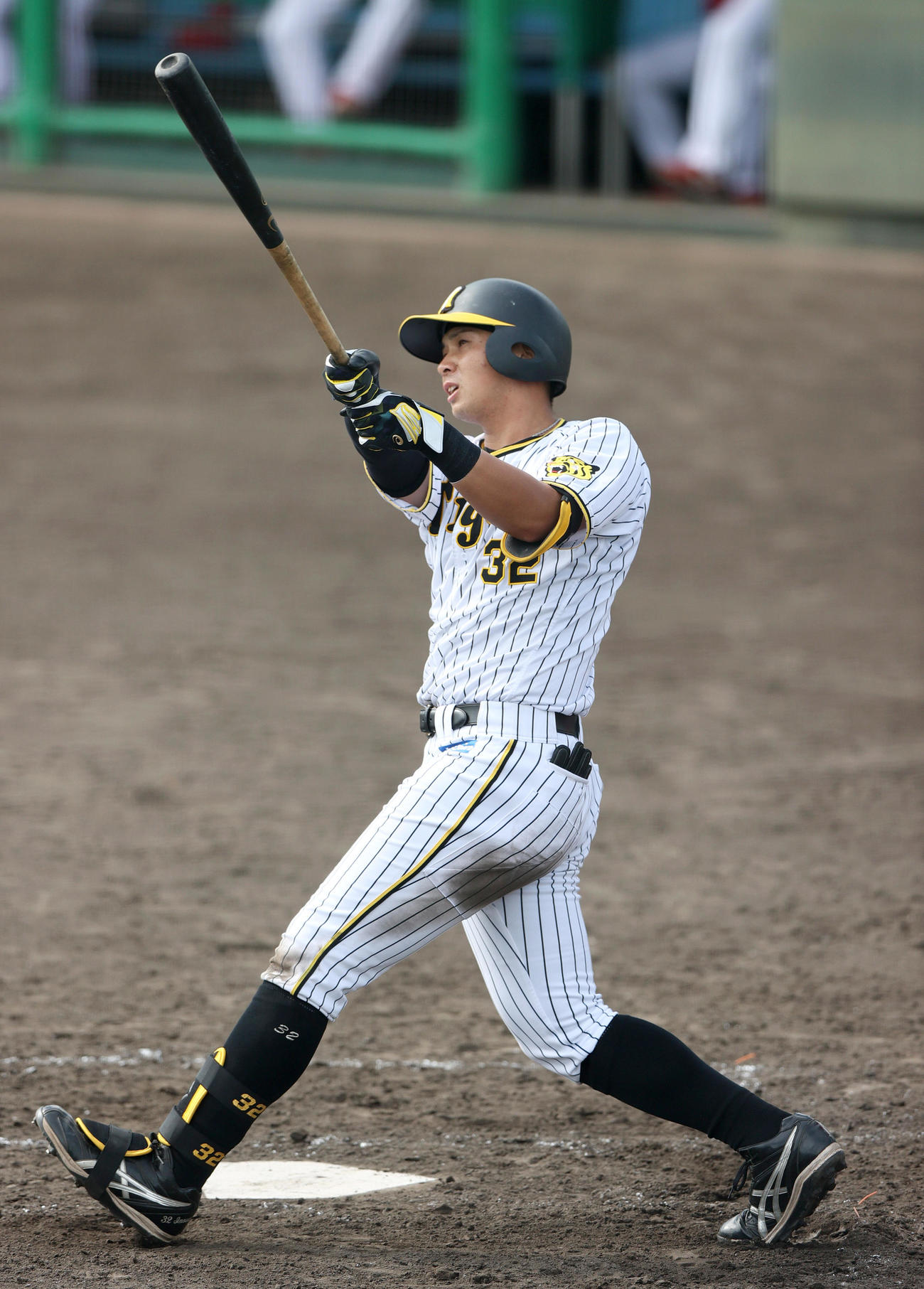 阪神井上広大（2022年10月4日撮影）