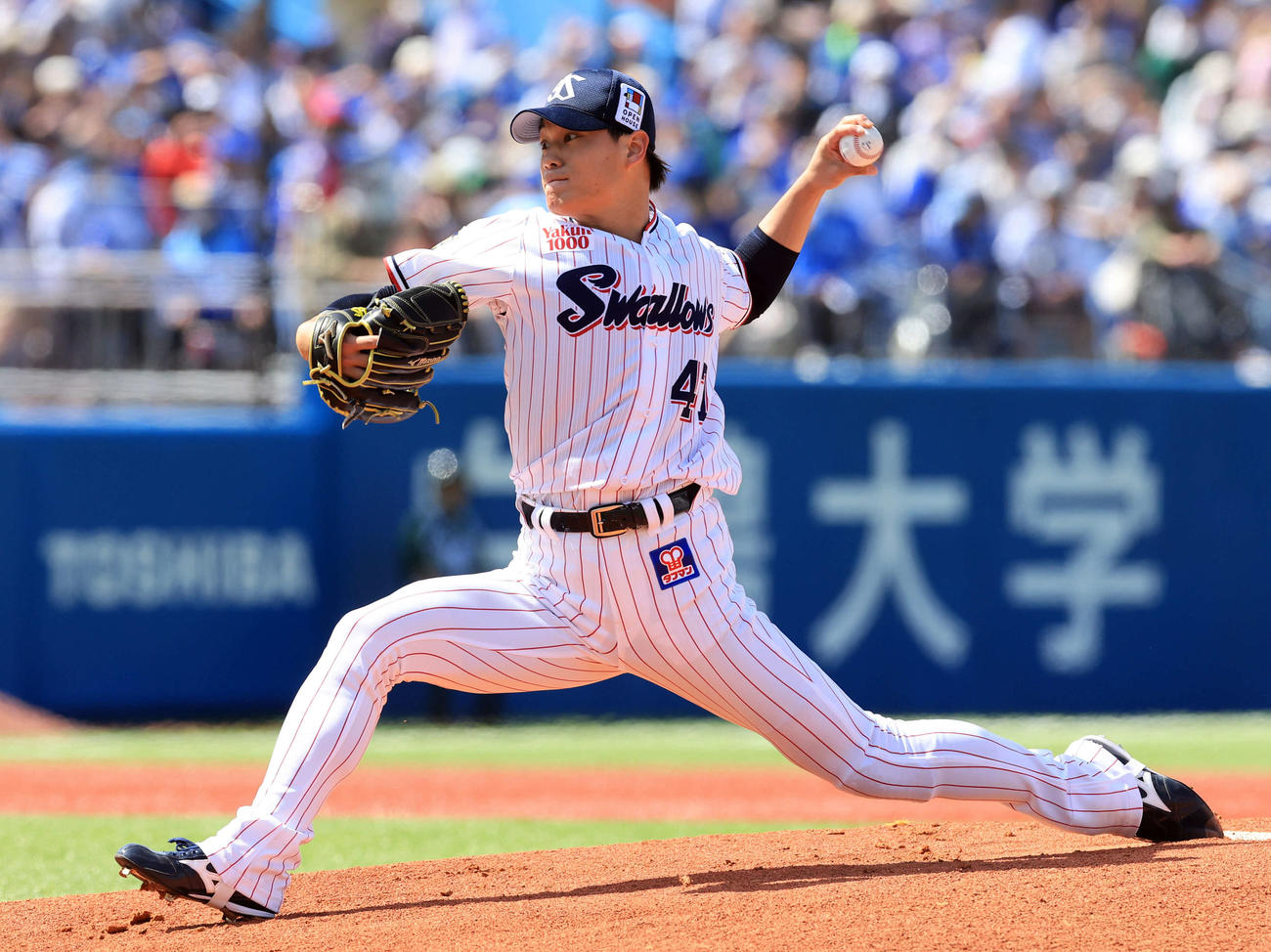 ヤクルト高橋奎二（2023年5月撮影）